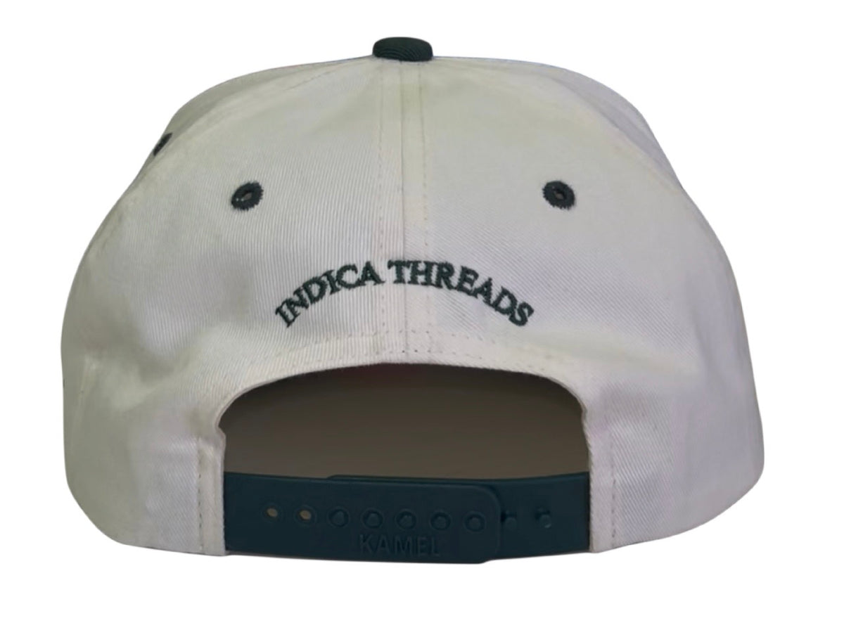Cactus snapback